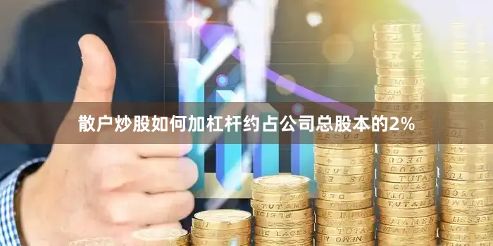散户炒股如何加杠杆约占公司总股本的2%