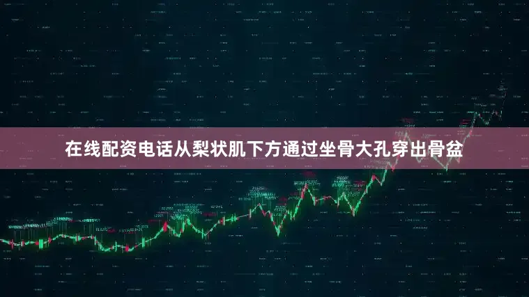 在线配资电话从梨状肌下方通过坐骨大孔穿出骨盆
