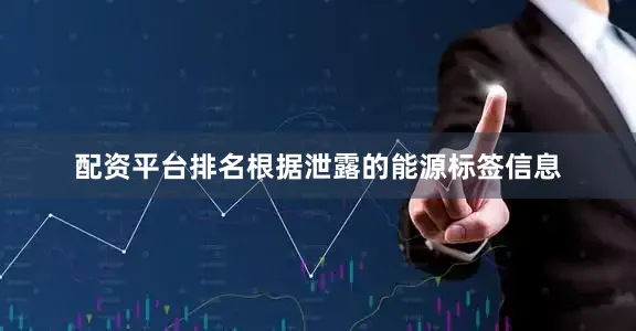 配资平台排名根据泄露的能源标签信息